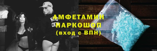 шишки Тихвин