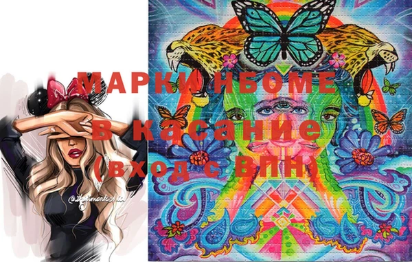 шишки Тихвин