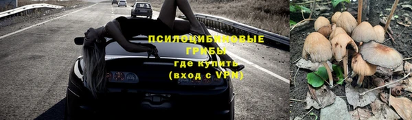 бошки Тавда